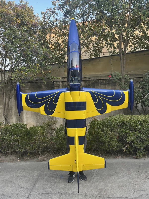 Aero L-39 — 2.6 m photo 6